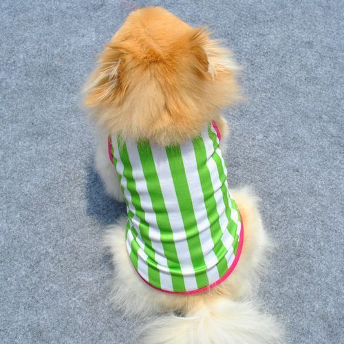 เสื้อผ้าสุนัขไซส์เล็ก น้องหมาน้องแมวขนาด 10 นิ้วเบอร์ XS เสื้อยืดคอกลมลายขวางสีเขียว นำเข้า - พร้อมส่งDG1 ราคา89บาท